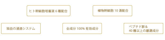 クレアスキンシリーズ5つのポイント