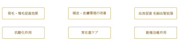 リアムールシリーズ5つのポイント